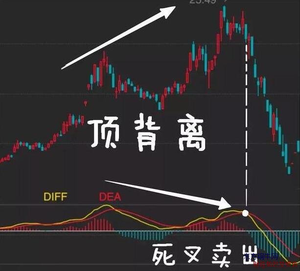 macd(yng)