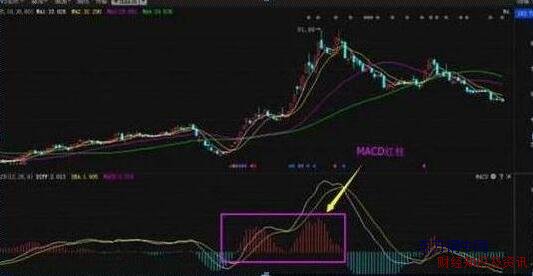 macd(yng)