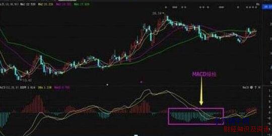macd(yng)