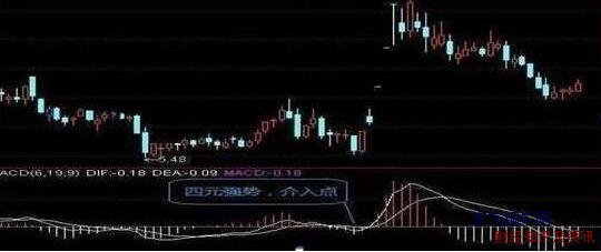 macd(yng)