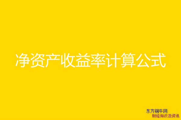 凈資產(chǎn)收益率計(jì)算公式